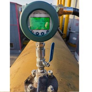 Вимірювач витрати біогазу