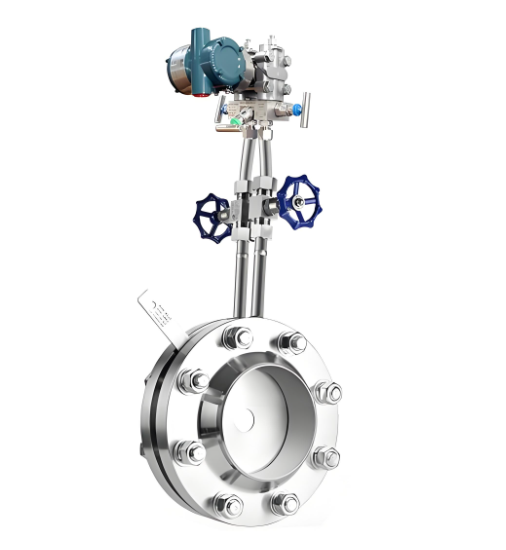 DP flow meter for steam